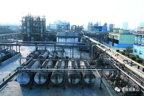 高大上 項(xiàng)目加持,膠州灣東岸這片區(qū)域?qū)⒃俅稳A麗綻放